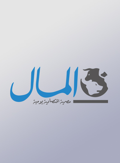 Al Maal News Paper
